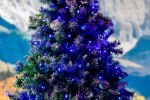 Coaxial 50 LED Blue 6" Spacing Green Wire